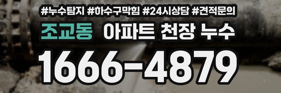 조교동 아파트 천장 누수