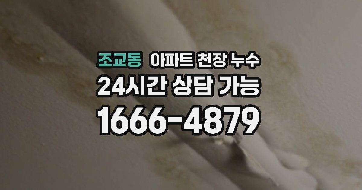 조교동 아파트 천장 누수