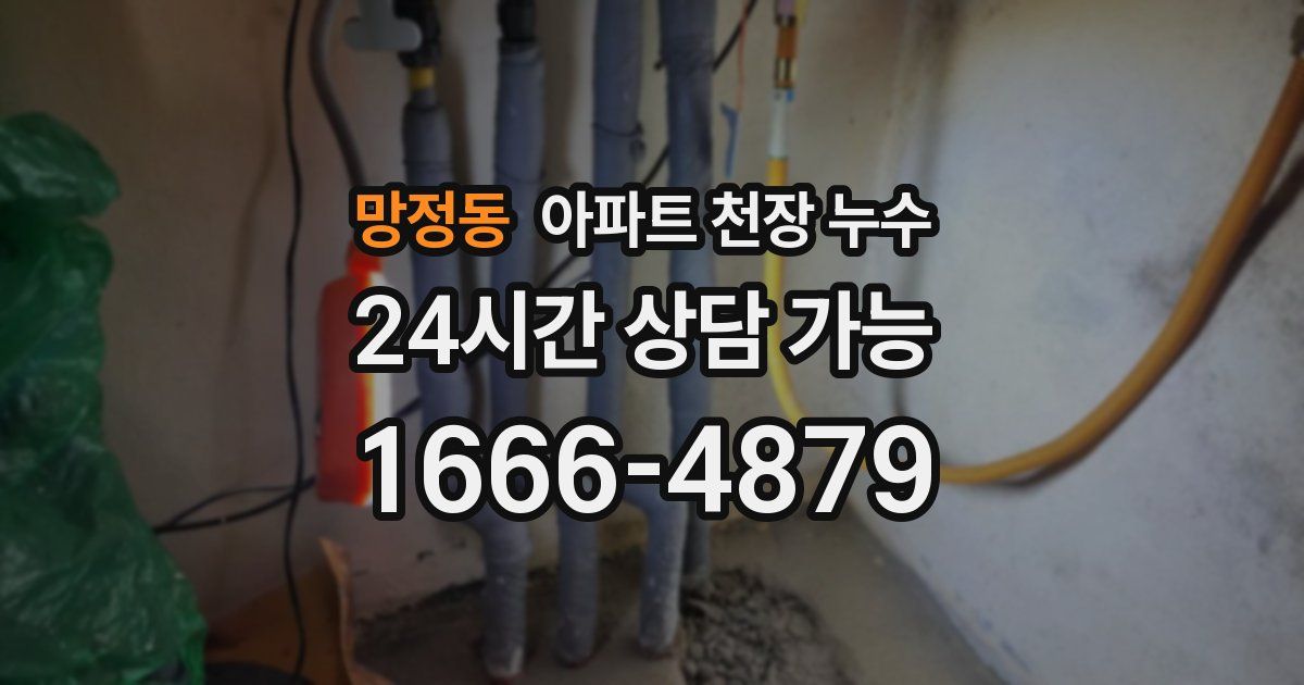 망정동 아파트 천장 누수