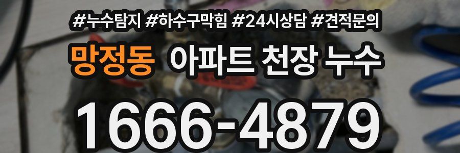 망정동 아파트 천장 누수