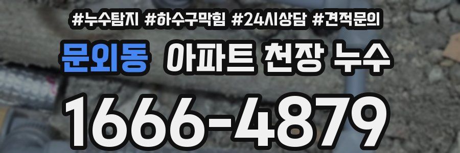 문외동 아파트 천장 누수