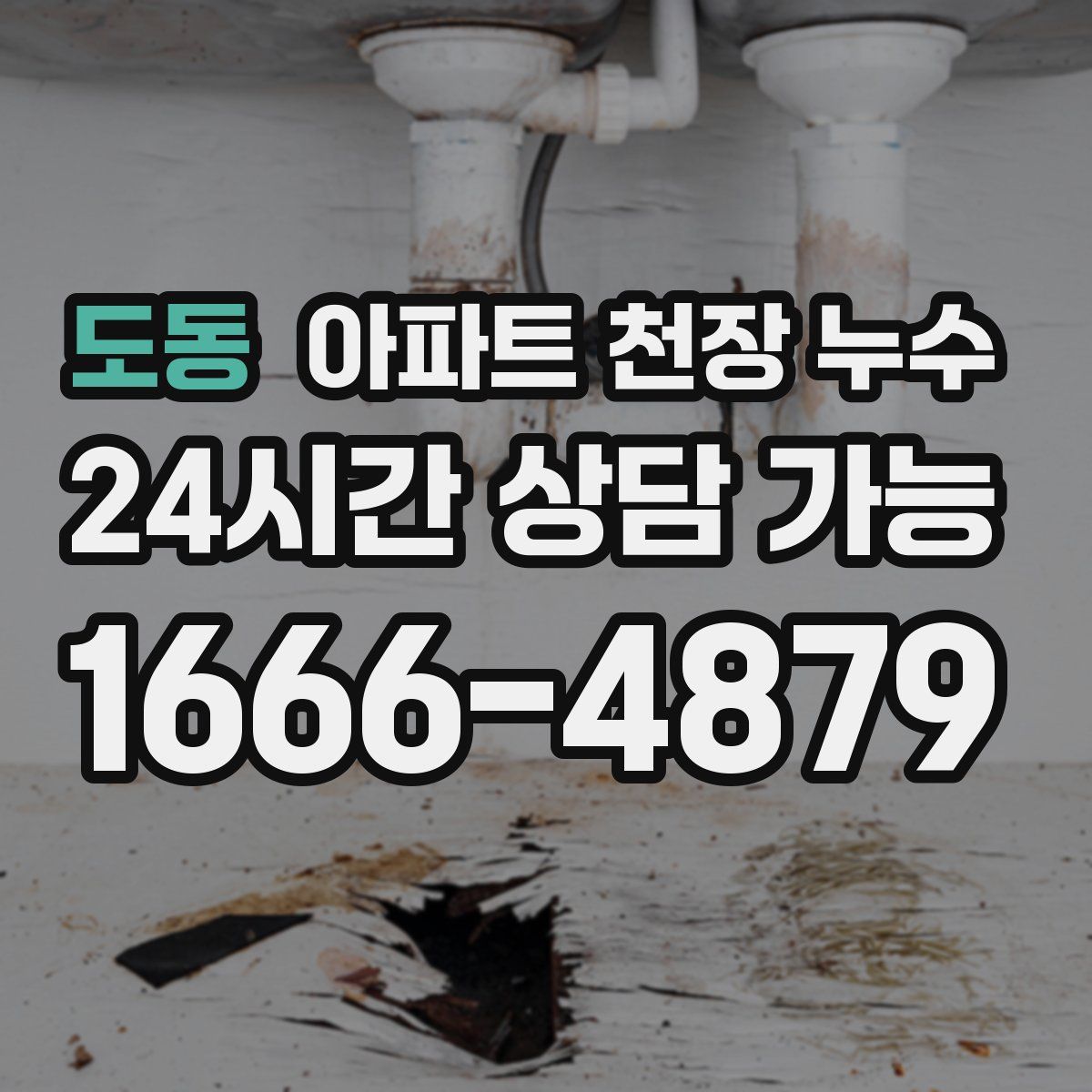도동 아파트 천장 누수