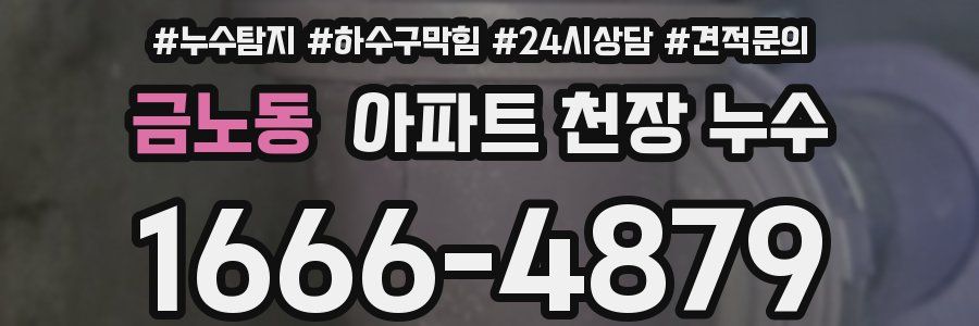 금노동 아파트 천장 누수