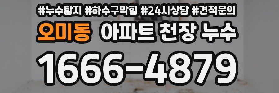 오미동 아파트 천장 누수