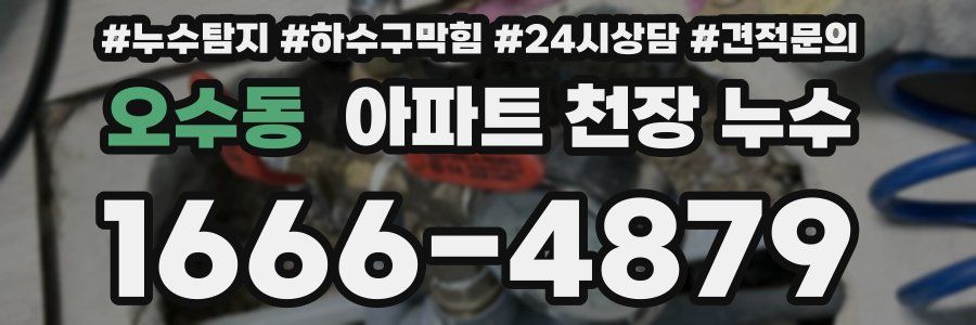 오수동 아파트 천장 누수