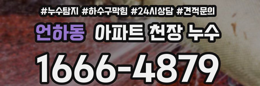 언하동 아파트 천장 누수