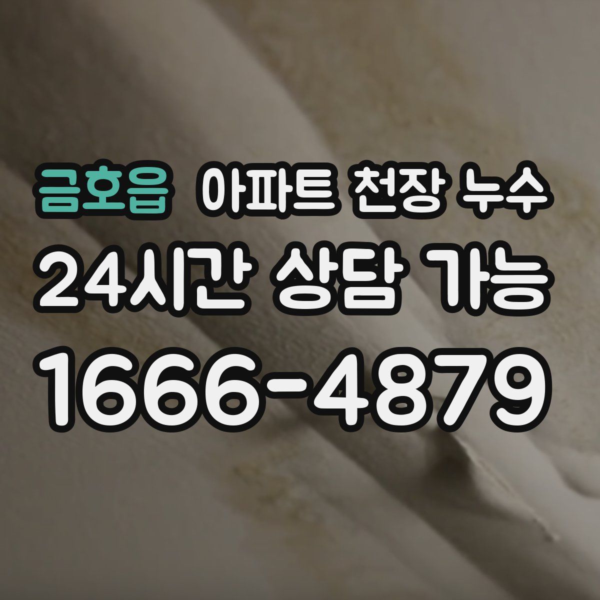 금호읍 아파트 천장 누수