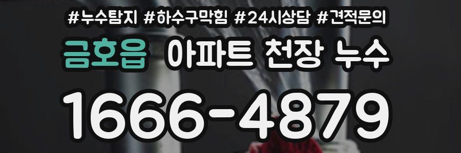 금호읍 아파트 천장 누수