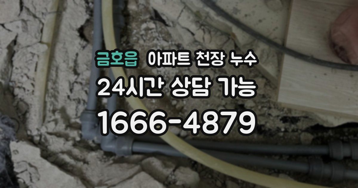 금호읍 아파트 천장 누수