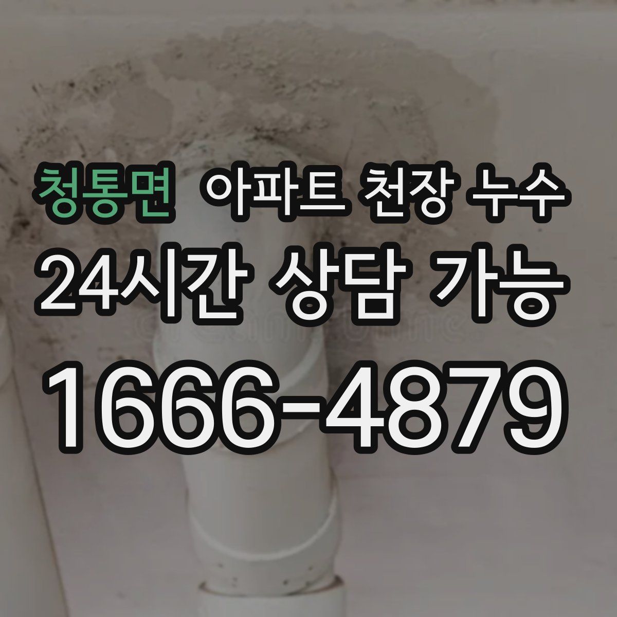 청통면 아파트 천장 누수