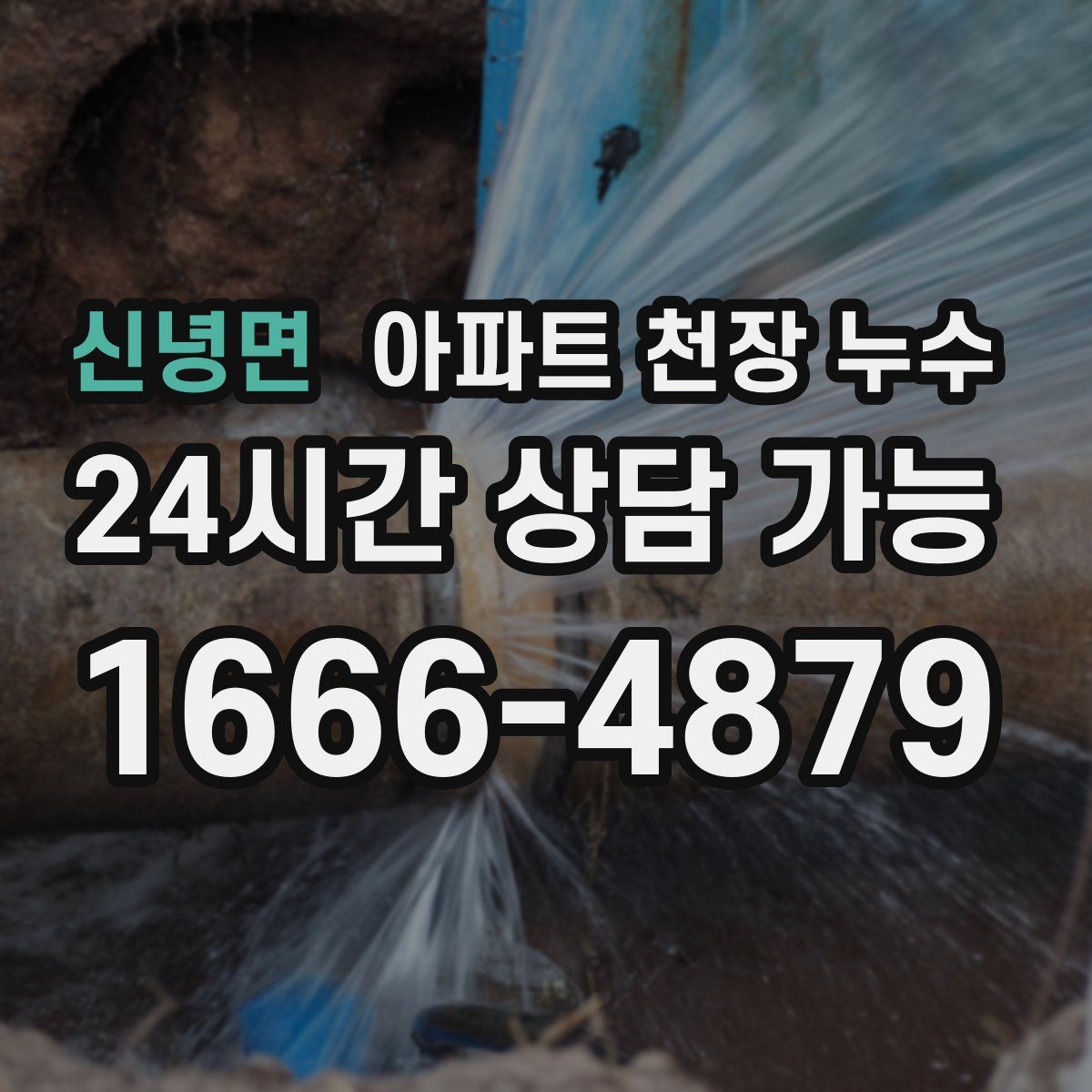 신녕면 아파트 천장 누수