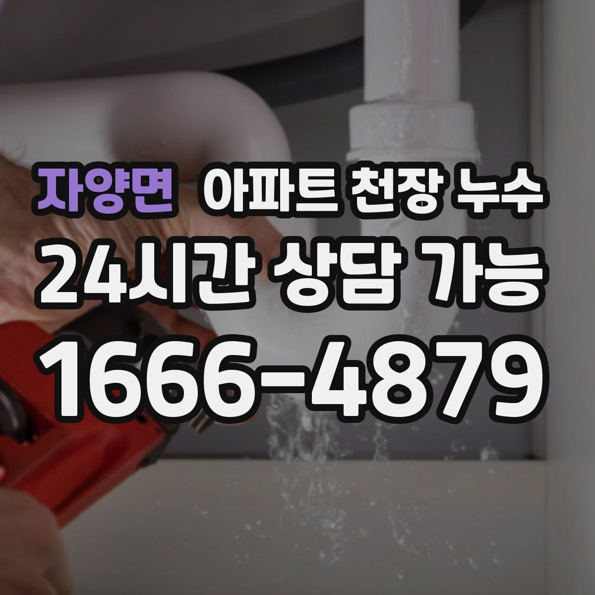 자양면 아파트 천장 누수