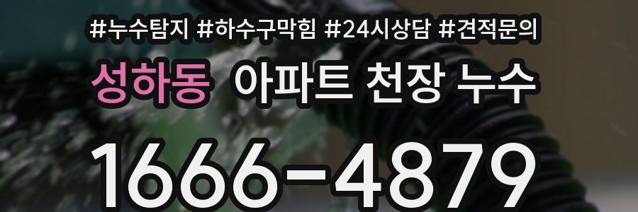 성하동 아파트 천장 누수