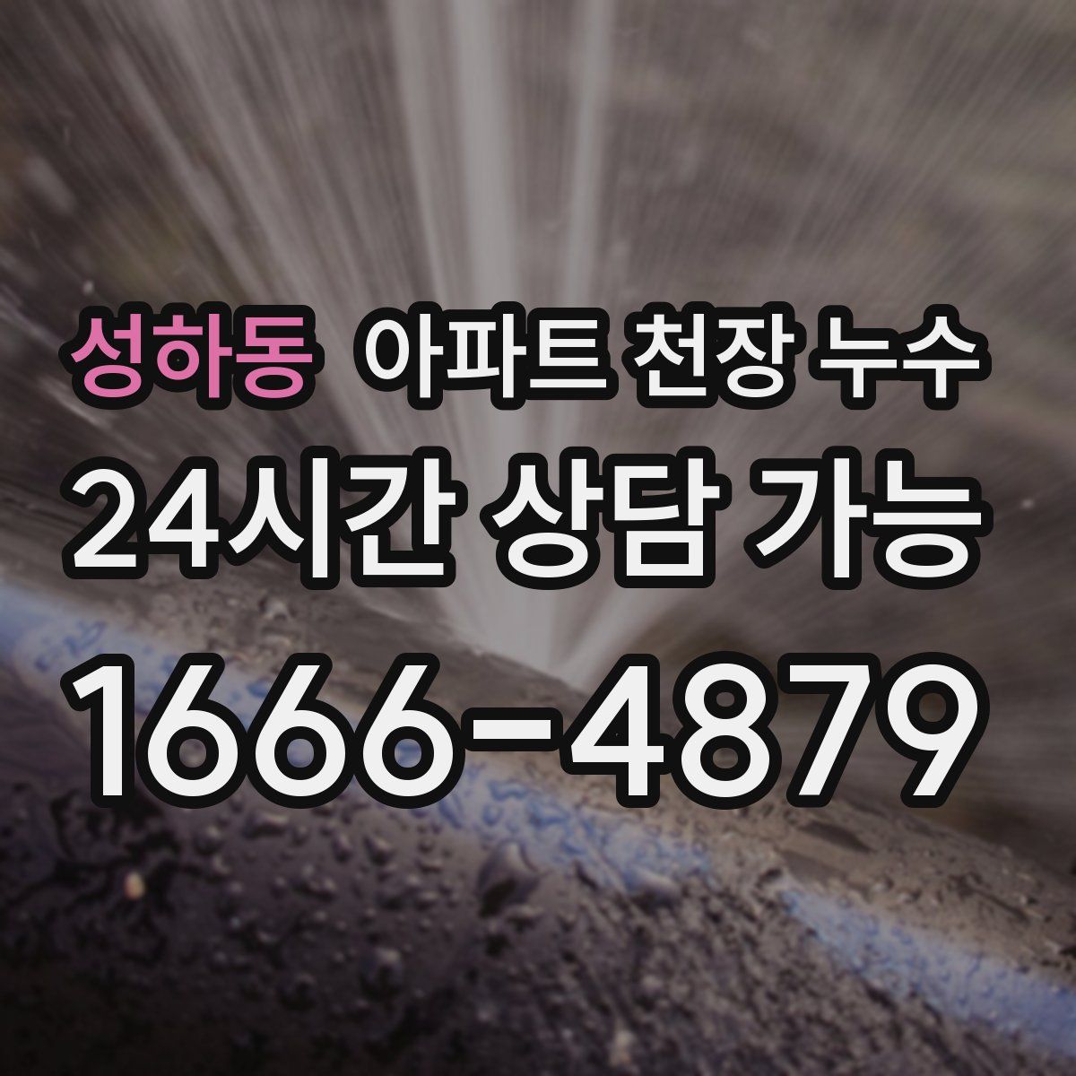 성하동 아파트 천장 누수