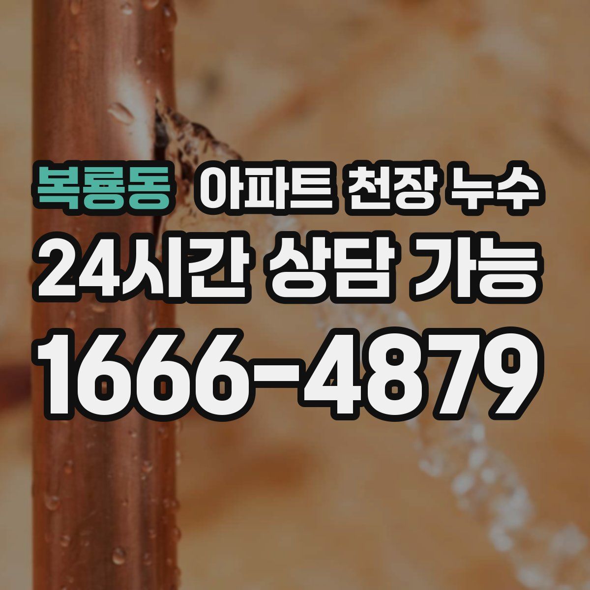 복룡동 아파트 천장 누수