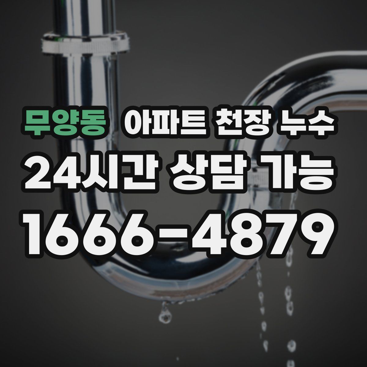 무양동 아파트 천장 누수