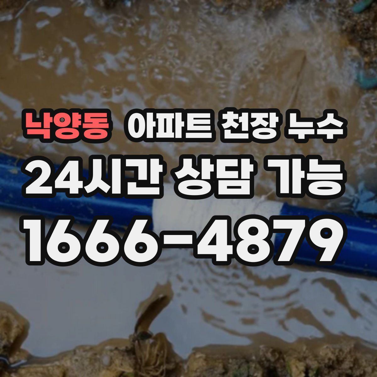 낙양동 아파트 천장 누수