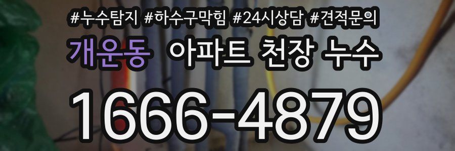 개운동 아파트 천장 누수