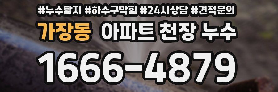 가장동 아파트 천장 누수