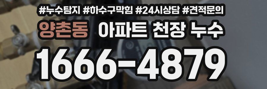 양촌동 아파트 천장 누수