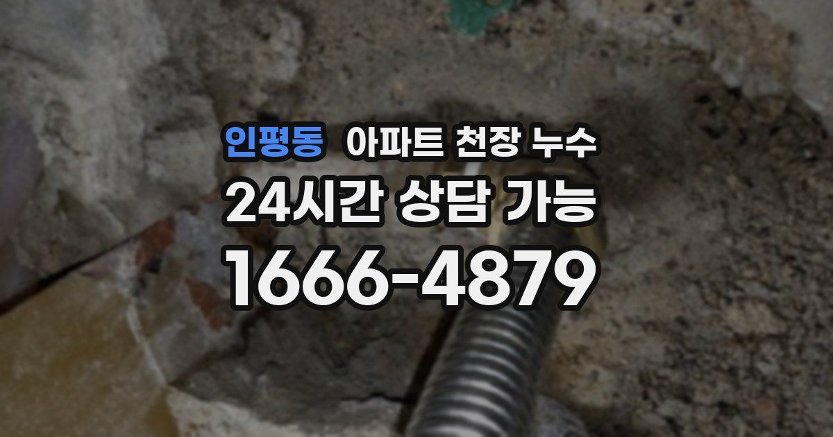 인평동 아파트 천장 누수