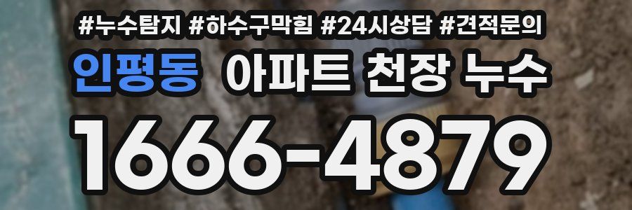 인평동 아파트 천장 누수