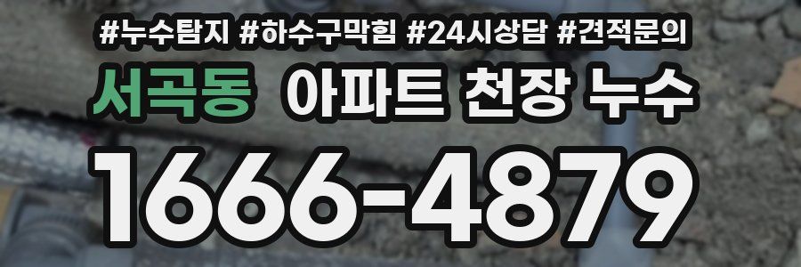 서곡동 아파트 천장 누수