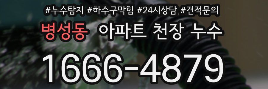 병성동 아파트 천장 누수