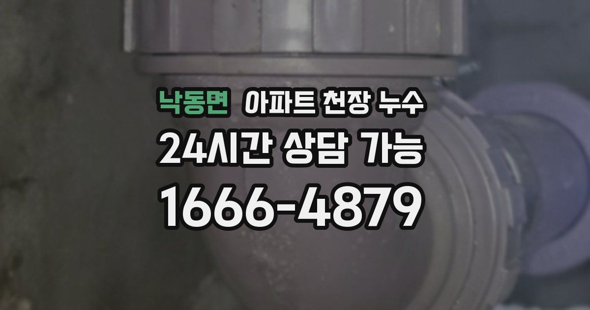 낙동면 아파트 천장 누수