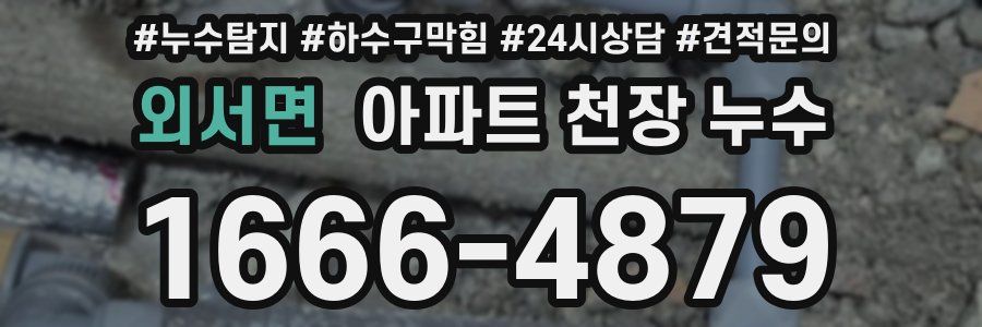 외서면 아파트 천장 누수
