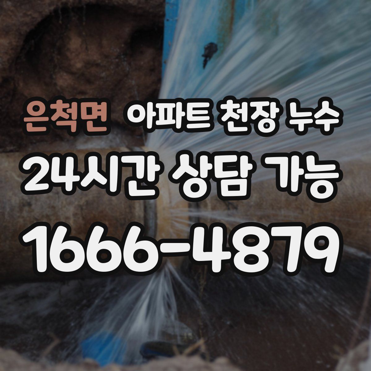은척면 아파트 천장 누수