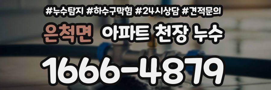 은척면 아파트 천장 누수