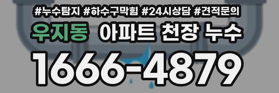 우지동 아파트 천장 누수