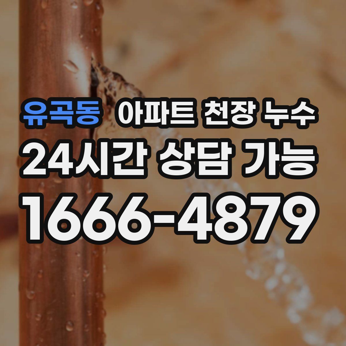 유곡동 아파트 천장 누수