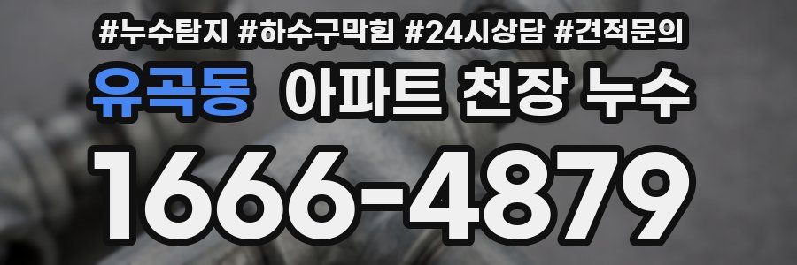 유곡동 아파트 천장 누수
