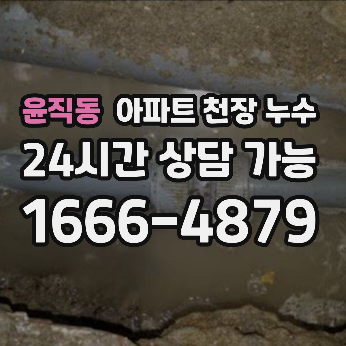 윤직동 아파트 천장 누수
