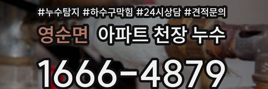 영순면 아파트 천장 누수