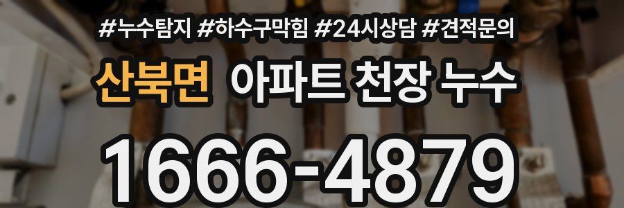 산북면 아파트 천장 누수
