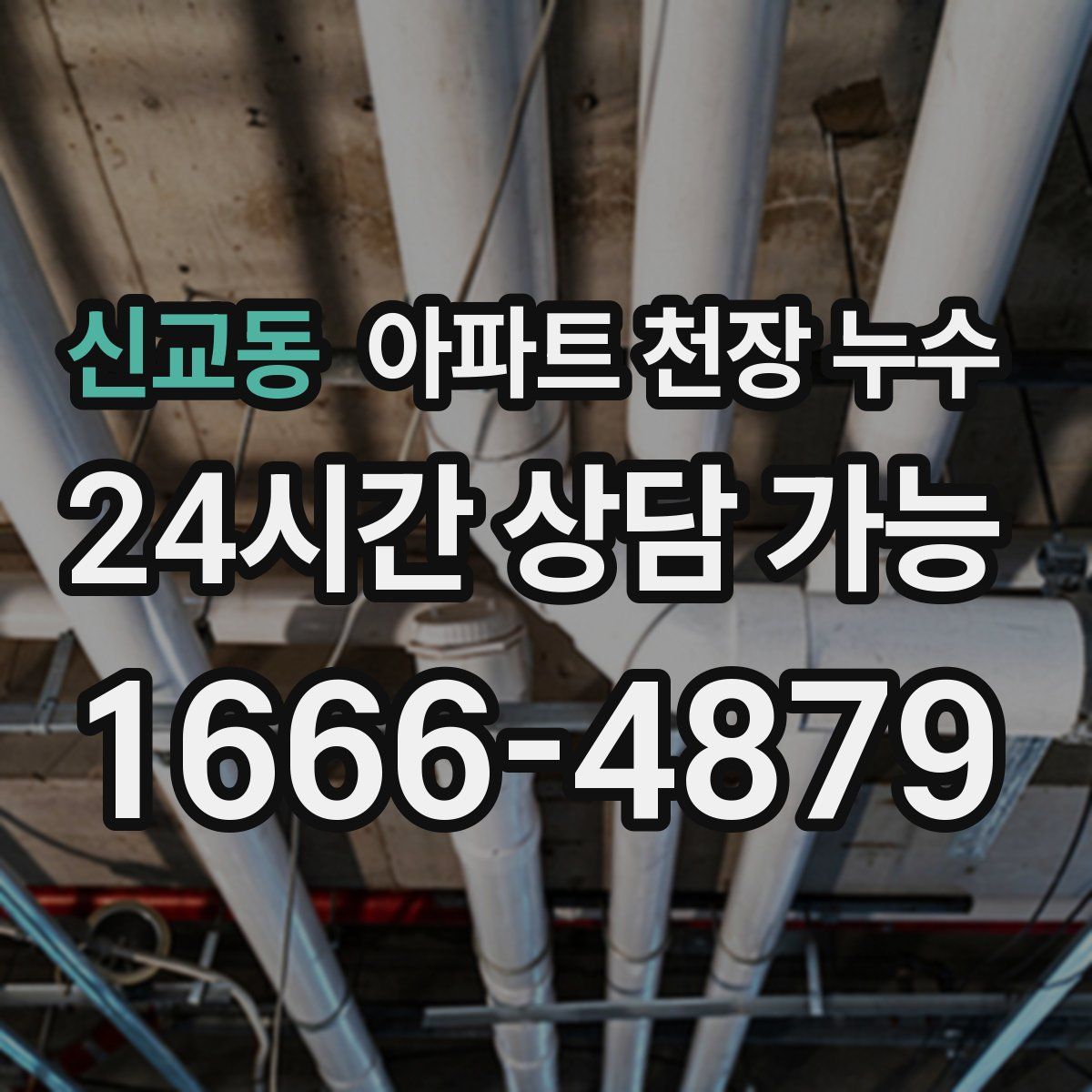 신교동 아파트 천장 누수