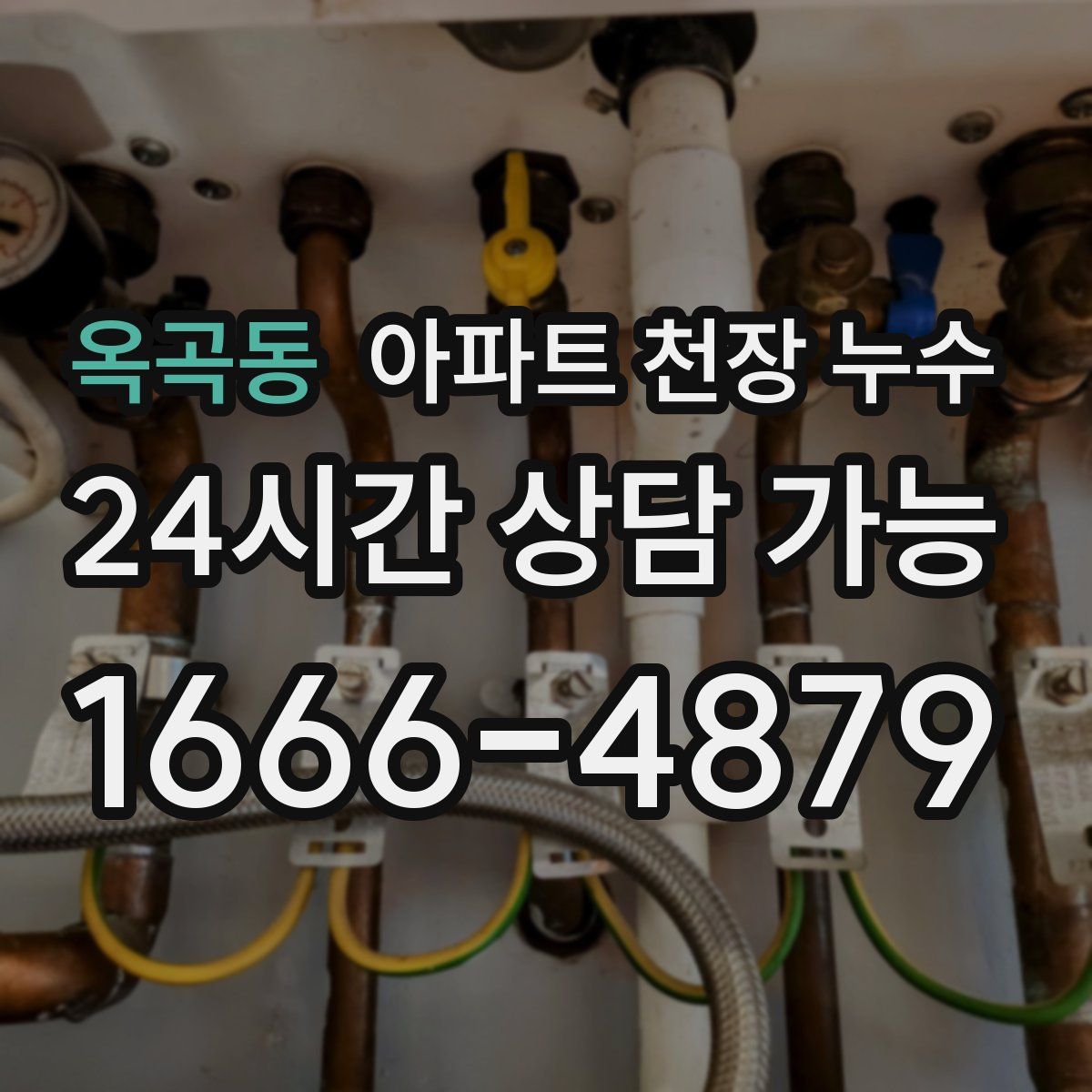 옥곡동 아파트 천장 누수