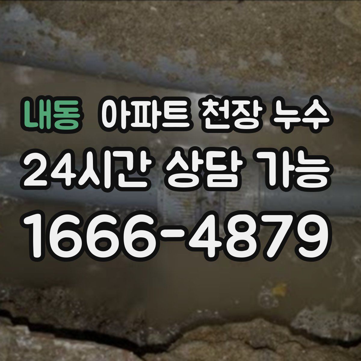 내동 아파트 천장 누수