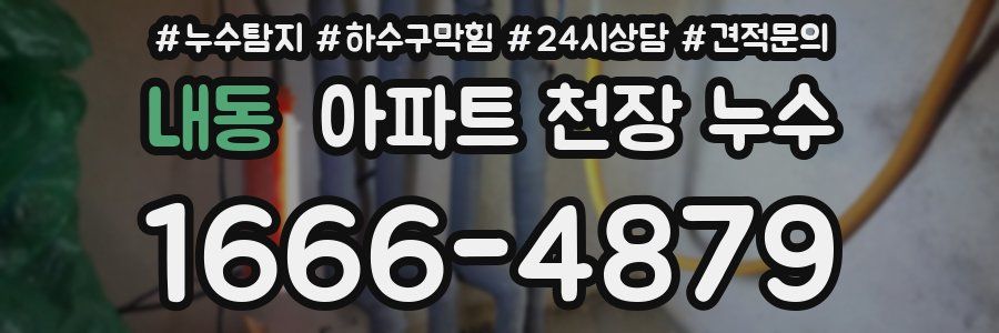 내동 아파트 천장 누수