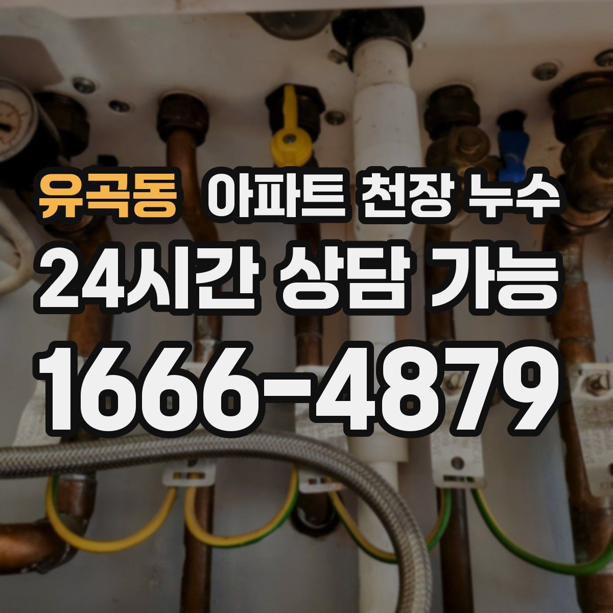 유곡동 아파트 천장 누수