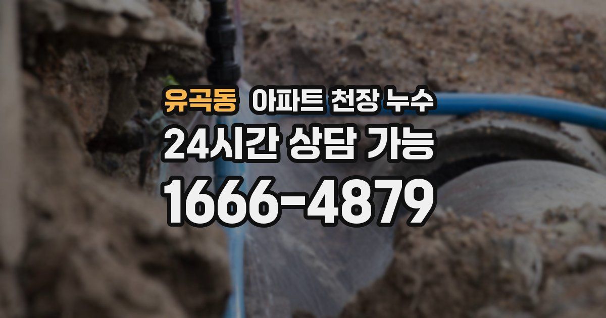 유곡동 아파트 천장 누수
