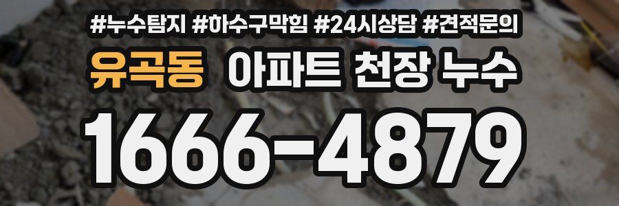 유곡동 아파트 천장 누수