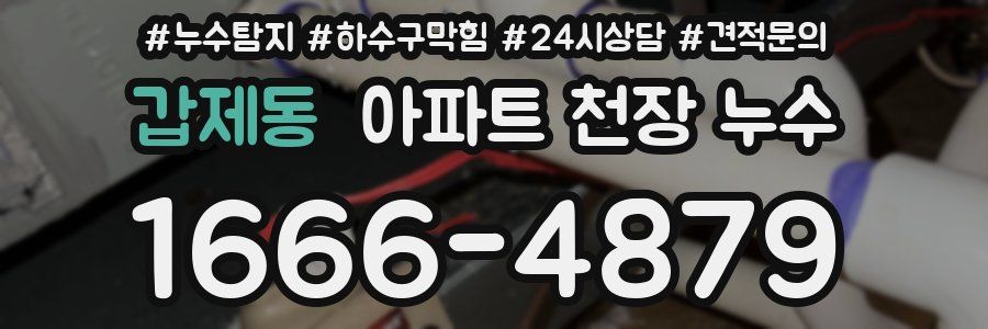 갑제동 아파트 천장 누수