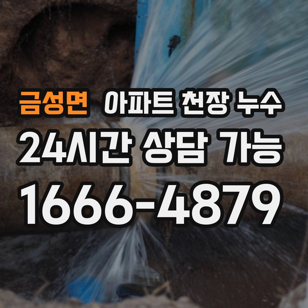 금성면 아파트 천장 누수