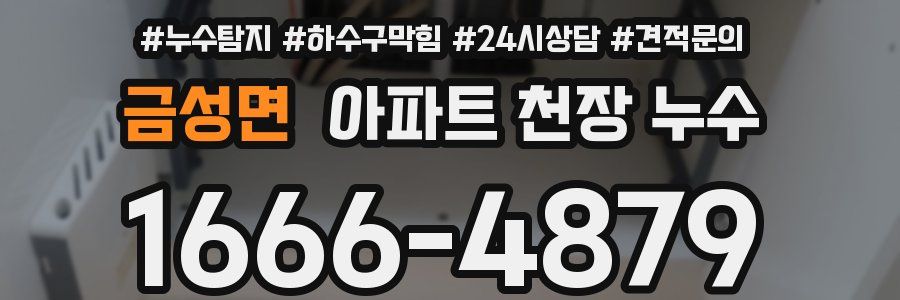 금성면 아파트 천장 누수