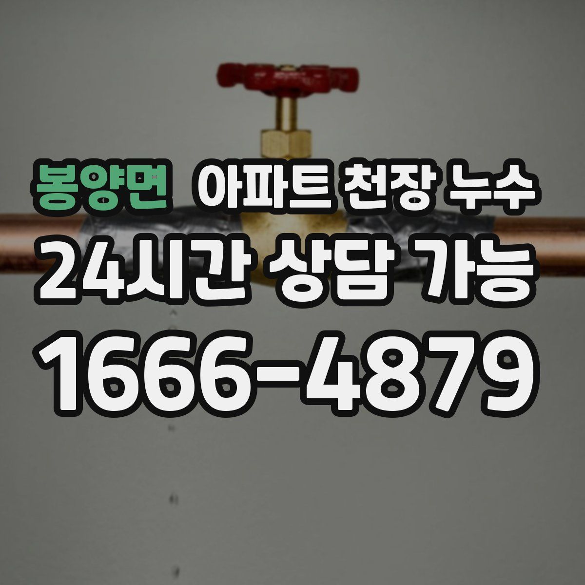 봉양면 아파트 천장 누수