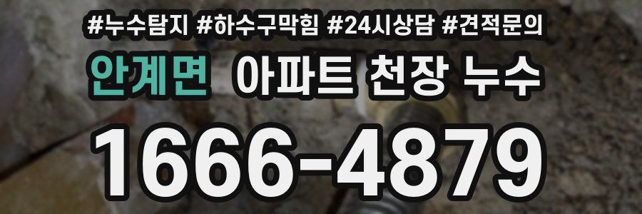 안계면 아파트 천장 누수